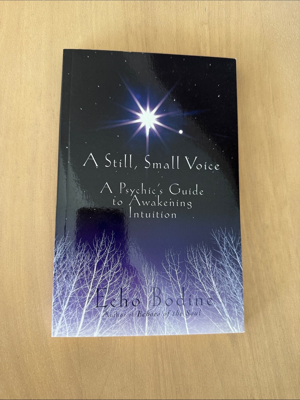 A Still Small Voice, A Psychic’s Guide to Awakening Intuition by Echo Bodine